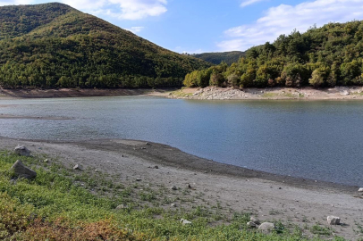 Bursa Burcun Göleti'nde balık ölümleri