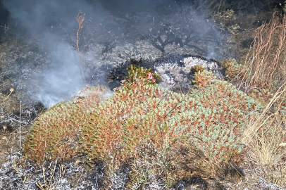 Çorum'da arazi yangının ormana sıçramasını ekipler önledi