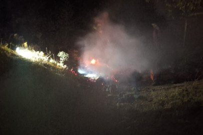 Bingöl’de çıkan yangın söndürüldü