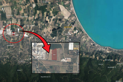 Bursa'ya 42 milyon TL'lik zeytinyağı fabrikası! İznik Gölü...