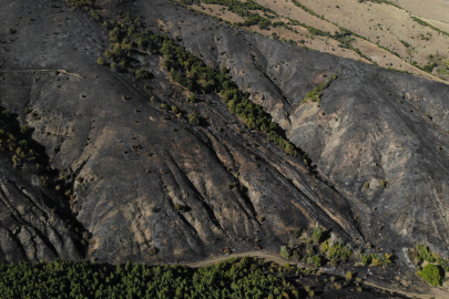 Gümüşhane'deki orman yangınında 30 hektar alan küle döndü