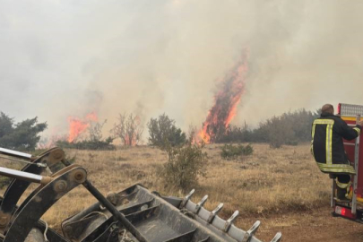 Konya’da ormanlık alanda çıkan yangın söndürüldü