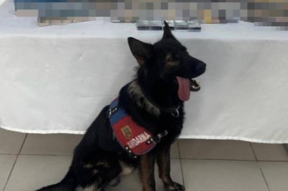 Ağrı'da bin 227 paket gümrük kaçağı sigara ele geçirildi