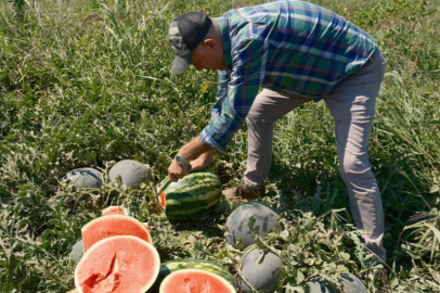 iPhone 17 almak için dikkat çeken hesaplama! 30 tır karpuz ya da...