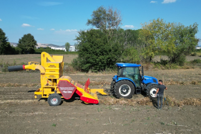Bursa İnegöl’ün Cerrah kuru fasulyesinde hasat zamanı