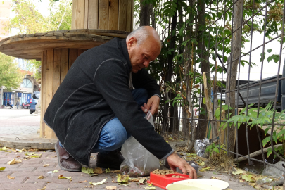 Beslemek istediği köpek saldırdı! Koluna 10'dan fazla dikiş atıldı