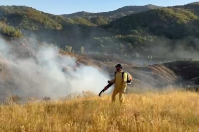 Bingöl’deki orman yangını kontrol altına alındı