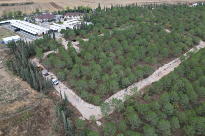 Bursa İnegöl Belediyesi'nden can dostlarına yeni yuva
