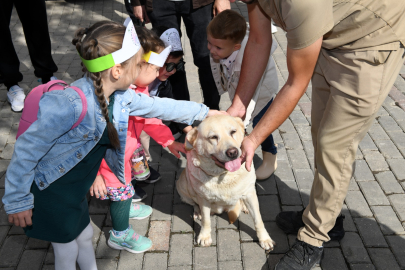 Bursa'nın bu ilçesine dev barınak müjdesi! 75 bin metrekarelik...