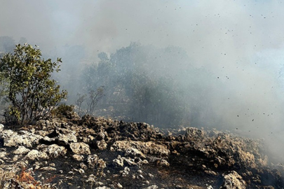 Diyarbakır'da örtü yangını: Müdahale ediliyor