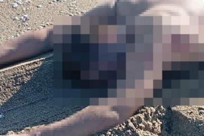 Sahile giden vatandaşlar dehşete düştü! Sakarya'da korkunç ölüm!