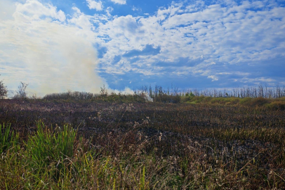 Sakarya'da otluk alanda çıkan yangın söndürüldü
