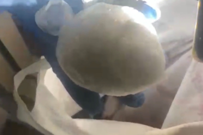 Samsun'da 183,8 gram uyuşturucu ele geçirildi