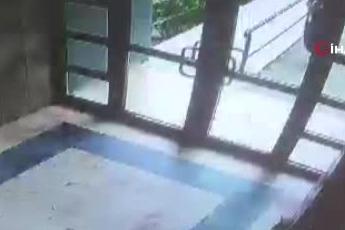 Tadilat için gittiği sitede evcil kediyi işkence ile öldüren sanığa ilk duruşmada 3 yıl 8 ay hapis cezası