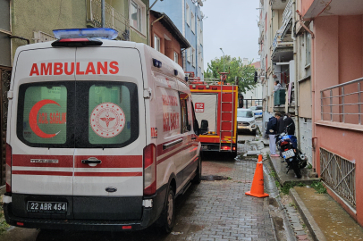 Edirne'de baca yangını korkuttu