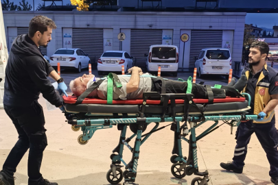 Bursa'da ceviz ağacından düşen adam ağır yaralandı