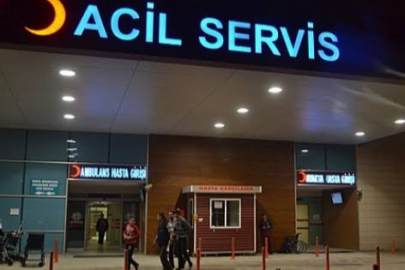 Bursa'da elektrik direğine çarpan otomobilin sürücüsü yaralandı