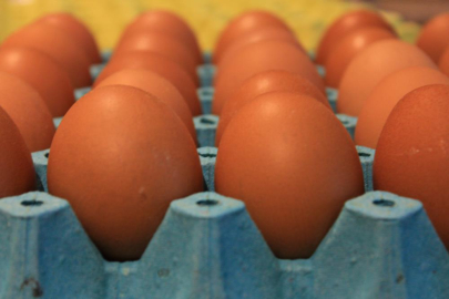 Kabuğun içindeki sağlık: Yumurta!