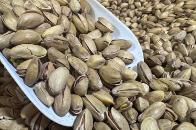 Türkiye'nin fıstık ihracatı yaklaşık 153 milyon dolar oldu