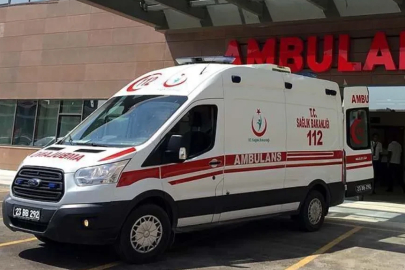 Aydın'da mantardan zehirlendiler: Eşi öldü, karısı hastaneye kaldırıldı