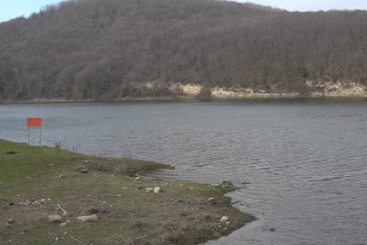 7 ayda kurudu! Hepsi İstanbul'u besliyordu! Korkulan oldu...