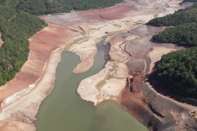 Barajları susuz kalan Bursa'nın Uludağ'daki pınarları da alarm veriyor
