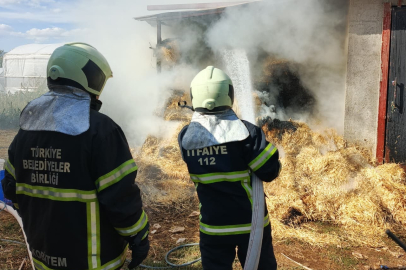 Burdur Bucak'ta ot balyaları yandı