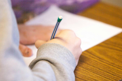 MEB, tarım işçisi ailelerin çocukları için telafi kursları hazırladı