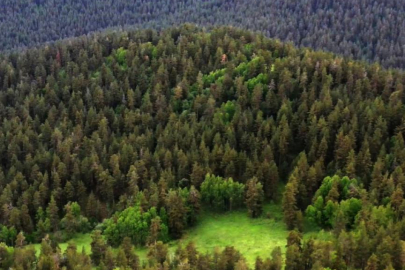 Milli parklar kanun teklifi TBMM'de kabul edildi