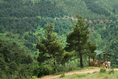 Bursa'da ormanlara giriş yasağı sona erdi! Yangınlar...