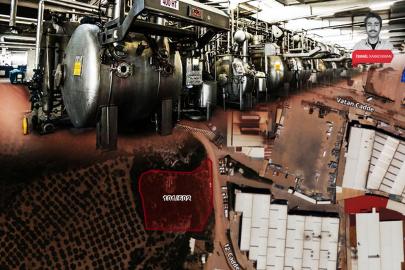 Bursa'nın o ilçesine yeni boyahane! Orman ve zeytinlikler...