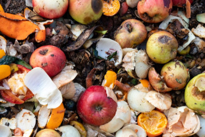 Gıda israfı geleceği tehdit ediyor! Uzmanlardan uyarı geldi: Yüzde 30’u çöpe gidiyor