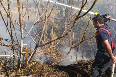 Hatay Antakya’da zeytinlik alanda yangın