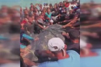 Gazze'de yaklaşık 10 metre uzunluğundaki dev balık karaya vurdu