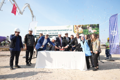 Bursa'da Yenişehir’de hayvan bakımevi kuruluyor