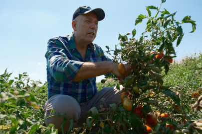 Londra'da sattı, Bursa'da aldı! Tam bin dönüm...