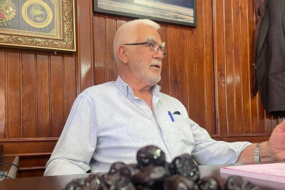 Bursa Gemlik zeytini dünya yolunda