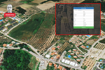 Bursa Mudanya Belediyesi'nden imar kararı! Zeytinlik ve ormanın yanında...