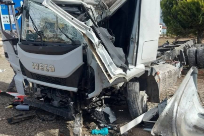 Denizli'de meyve yüklü tır devrildi