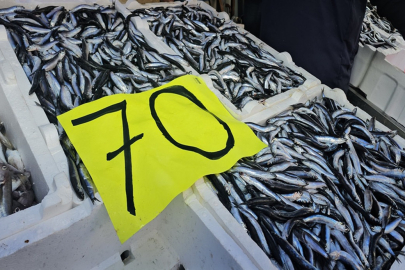 Hamsi ucuzlayınca tezgahlarda yoğunluk oluştu