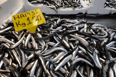 Hamsi fiyatları düştü: Bursalılar Tuz Pazarı'na akın etti