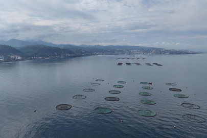 Karadeniz'den 31 ülkeye 278,7 milyon dolarlık su ürünü ihracatı