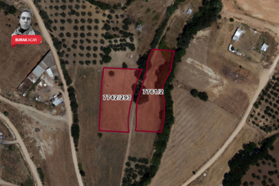 Bursa'da belediye encümeninden tarlalar hakkında imar kararı!