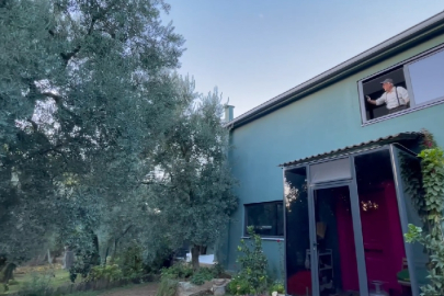 Bursa'da her sabah 3 bin yıllık zeytin ağacını görerek güne başlıyor!