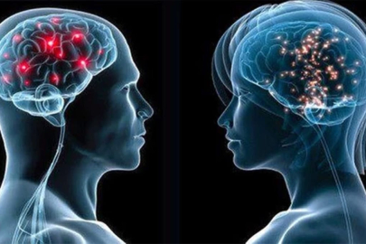 Erkek beyni kadınlara göre daha hızlı küçülüyor