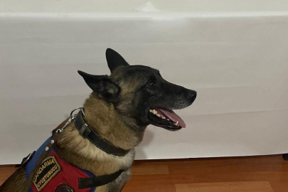 Van Muradiye’de 2 kilo metamfetamin ele geçirildi