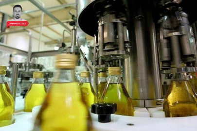 Bursa'da belediye zeytinyağı fabrikası kuracak! 15 milyon TL...