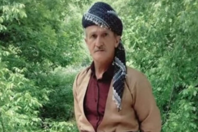 Hakkari Şemdinli’de ağaçtan düşen şahıs hayatını kaybetti