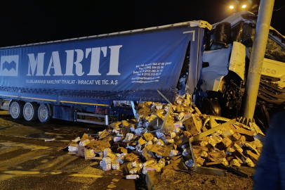 Ordu'da süt yüklü tır ve otomobil çarpıştı: 2 yaralı
