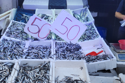 Hamsinin kilosu 50 liraya kadar düştü